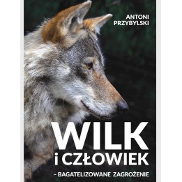 A farkas és az ember - egy alábecsült veszély Antoni Przybylski