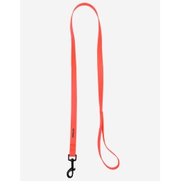 Laisse Dingo 120 cm